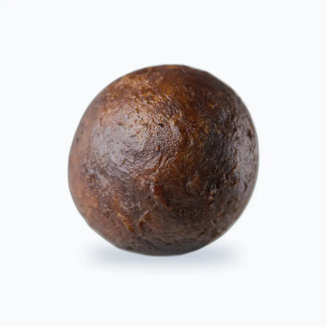 Un Gbo Touchoco au chocolat