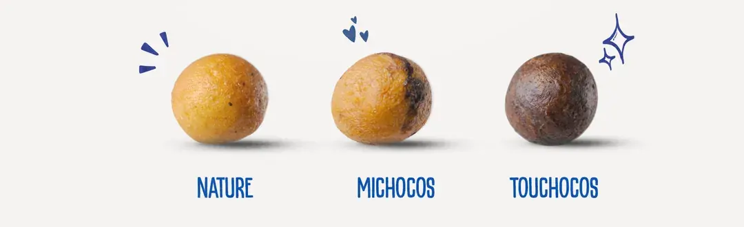 Trois gbos : nature, michocos, touchocos