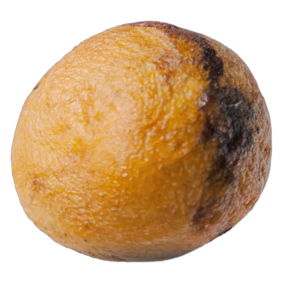 Gbo Michoco aux pépites de chocolat