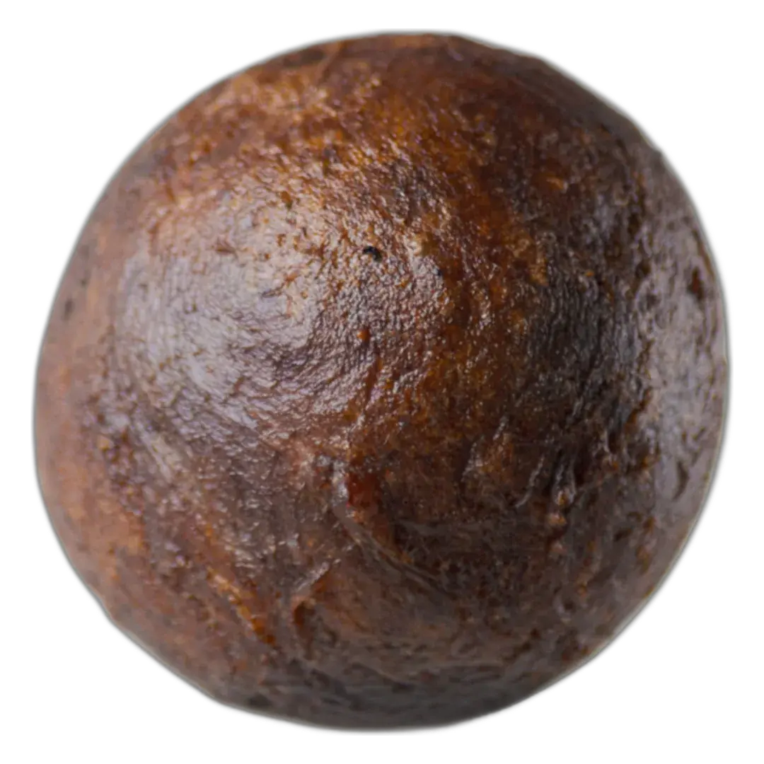 Gbo Touchoco au chocolat