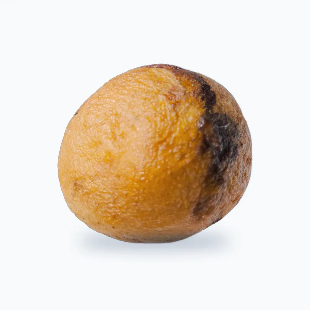 Gbo Michoco | Pépites de chocolat